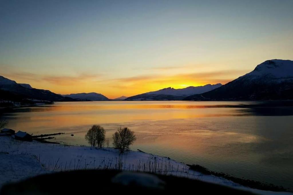 Norwegian Dream Lejlighed Gratangen Eksteriør billede