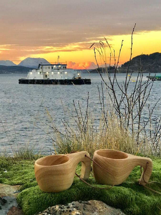 Norwegian Dream Lejlighed Gratangen Eksteriør billede