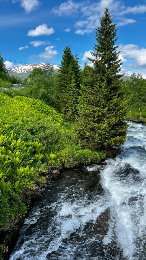 Norwegian Dream Lejlighed Gratangen Eksteriør billede