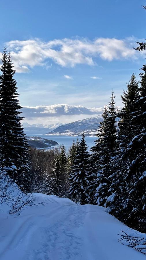 Norwegian Dream Lejlighed Gratangen Eksteriør billede