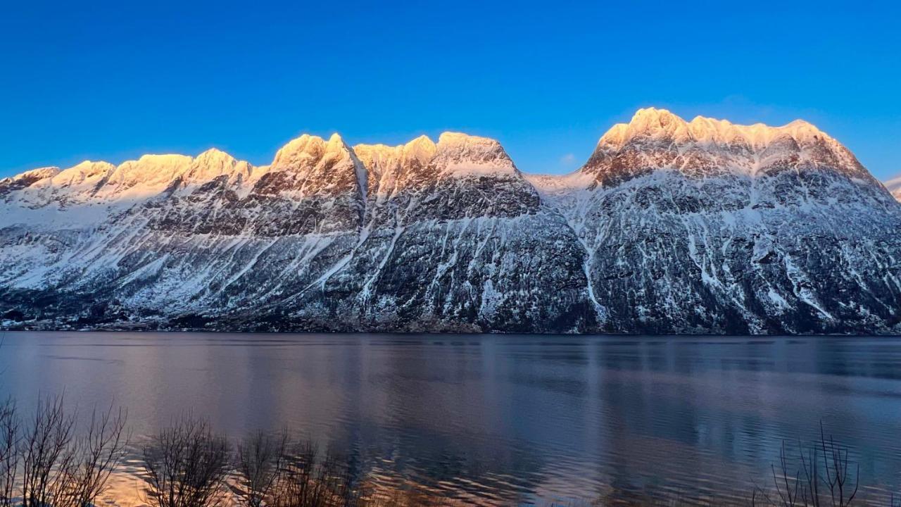 Norwegian Dream Lejlighed Gratangen Eksteriør billede