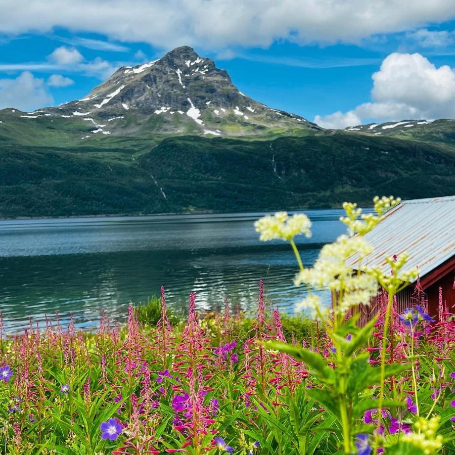 Norwegian Dream Lejlighed Gratangen Eksteriør billede