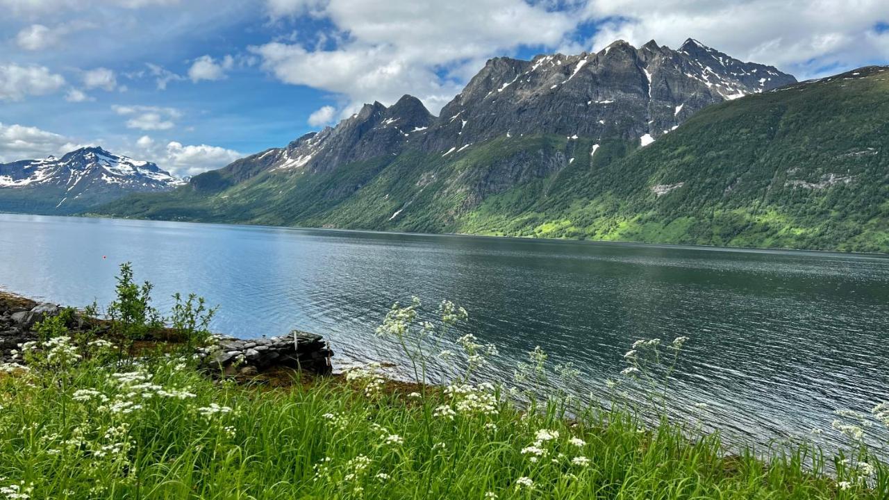 Norwegian Dream Lejlighed Gratangen Eksteriør billede